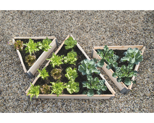Drei dreieckige Hochbeete mit Salat und Kohl auf einem Kiesplatz