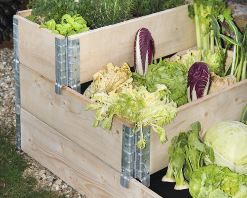 Hochbeet aus Holz mit verschiedenen Gemüsesorten