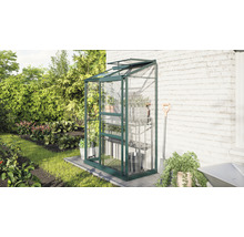 Serre avec étagères dans le jardin