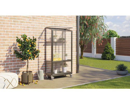 Serre Vitavia Polis panneaux alvéolaires 4 mm avec fondation sur roulettes 81 x 42,8 cm noir