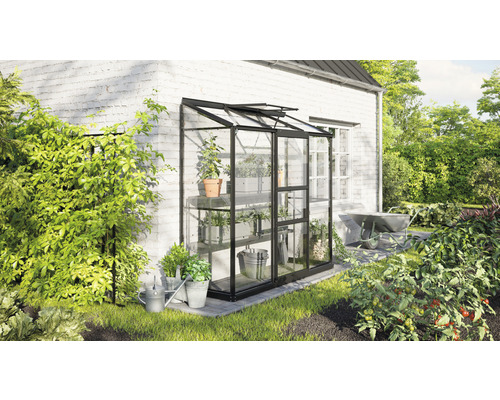 Serre en verre avec cadre métallique sur un mur de maison avec des plantes