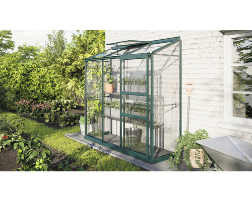 Serre de jardin en verre avec étagères à plantes