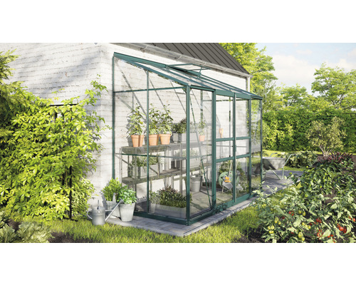 Serre adossée à une maison avec étagères à plantes et outils de jardinage.