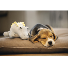 Schlafender Beagle Welpe mit Stofftier auf Hundekissen