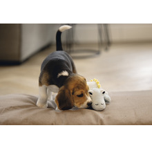Ein Beaglewelpe liegt auf einem Kissen und kuschelt mit einem Stofftier.