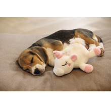 Schlafender Beaglewelpe mit Einhorn-Plüschtier auf einem Hundebett