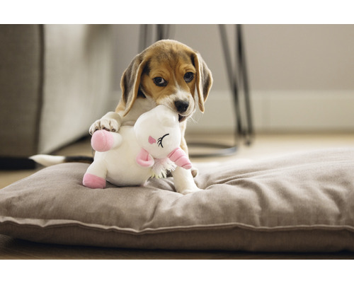 Un chiot beagle joue avec une peluche licorne sur un coussin pour chien.