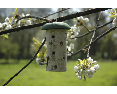 Insektenhotel aus Birkenholz mit mehreren Bohrlöchern hängt an einem Ast