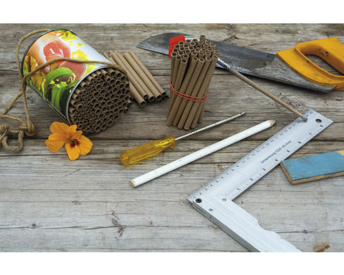 Insektenhotel-Zubehör, bestehend aus Röhrchen, Säge, Schraubenzieher, Bleistift, Winkel und Blüte auf einer Holzoberfläche