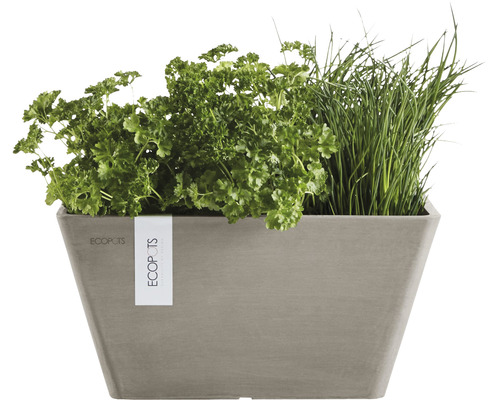 Pflanzkasten mit Petersilie und Schnittlauch