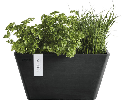 Schwarzer Pflanzkasten mit Kräutern