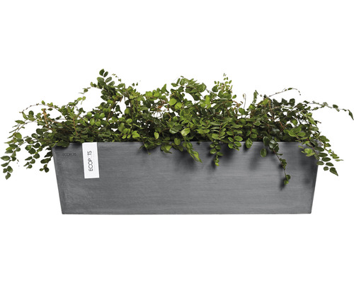Rechteckiger Pflanzkasten aus Kunststoff mit grünen Pflanzen