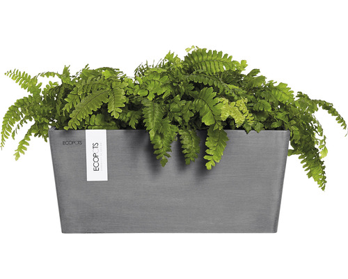 Jardinière rectangulaire avec fougère