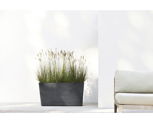 Rechteckiger Pflanzkasten mit Gräsern auf Terrasse