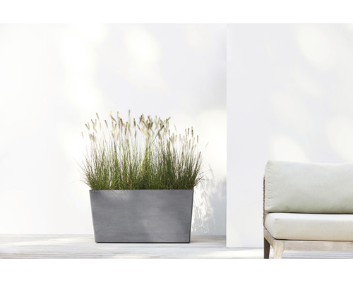 Rechteckiger Pflanzkasten mit Ziergras auf einer Terrasse