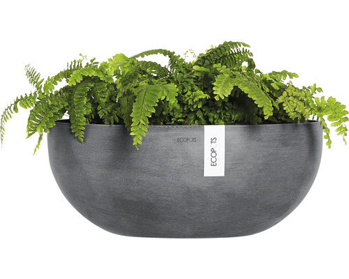 Pot de fleurs Ecobots gris avec fougère