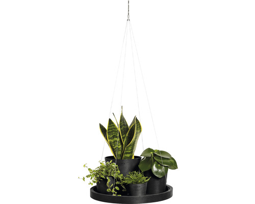 Hängeampel mit verschiedenen Zimmerpflanzen in Töpfen