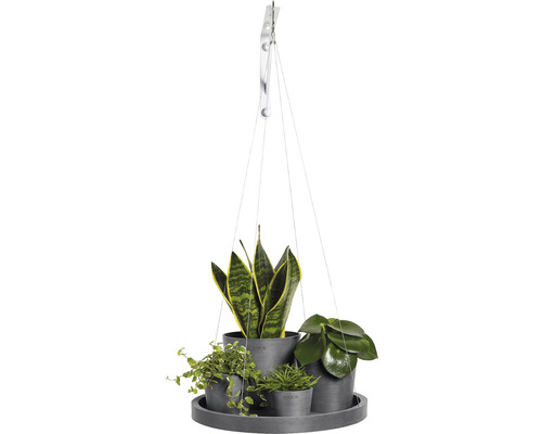 Hängeampel mit vier Pflanzen in Töpfen auf einer runden Ablage