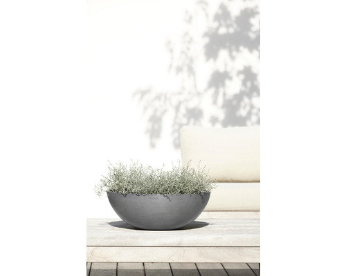 Bol avec plante sur une table de jardin