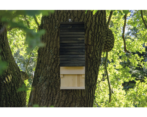 Fledermauskasten aus Holz an einem Baum befestigt.