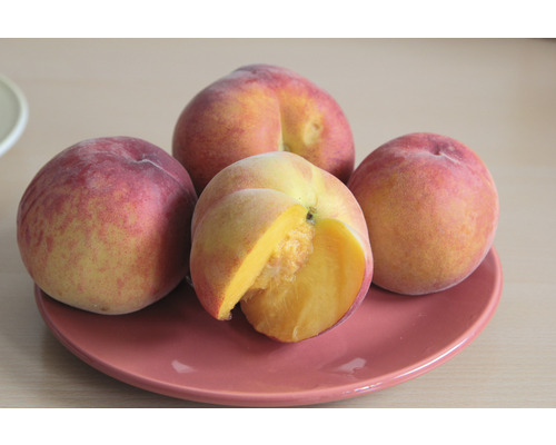 Quatre pêches sur une assiette, dont une coupée