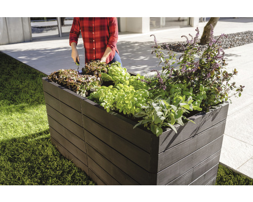 Hochbeet aus Kunststoff mit Salat bepflanzt im Garten.