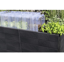 Jardinière surélevée classique GARANTIA Ergo Quadro 2 L avec système d'économie d'eau Flora 75 160 x 80 x 75 cm stone