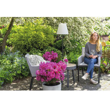 Scène de jardin avec femme, chaise, table, lampadaire et rhododendron