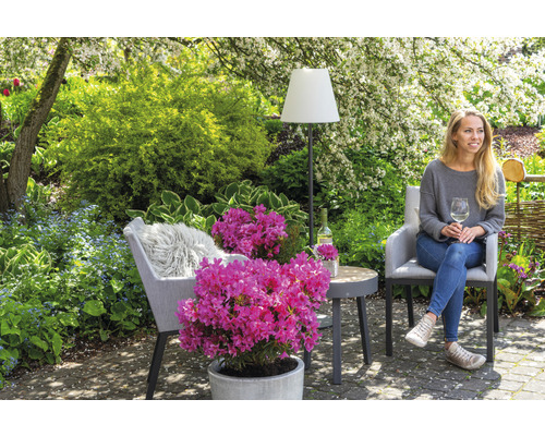 Scène de jardin avec femme, chaise, table, lampadaire et rhododendron