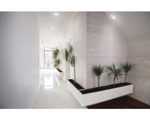 Couloir lumineux avec spots encastrés, plantes dans des jardinières blanches et mur en marbre