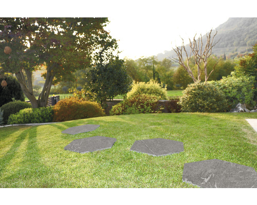 Pas japonais hexagonaux en pierre dans un sentier de jardin