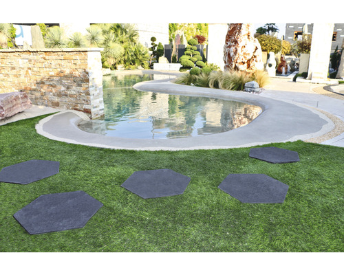 Scène de jardin avec bassin et pas japonais hexagonaux sur gazon