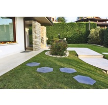 Jardin aménagé avec pelouse et allée de dalles en pierre