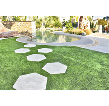 Scène de jardin avec pelouse, bassin et pas japonais hexagonaux