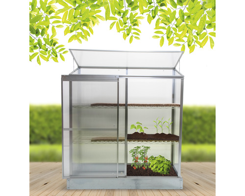 Serre avec des plantes sur des étagères