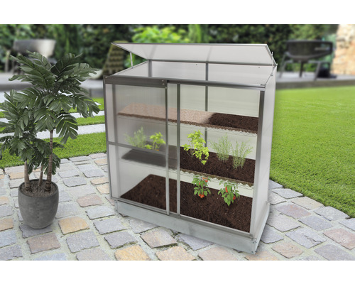 Serre avec étagères et différentes plantes dans le jardin