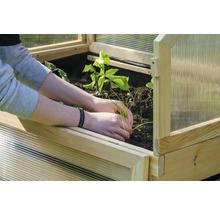 Gros plan d''un châssis de couche avec une personne plantant des semis.