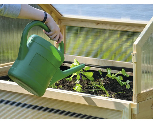 Person giesst Pflanzen in einem Hochbeet mit Frühbeetaufsatz mit einer Gießkanne.