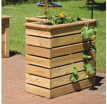 Jardinière surélevée en bois avec plantes