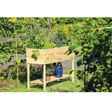 Jardinière sur pieds en bois avec plantes et arrosoir dans le jardin