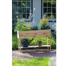 Jardinière surélevée en bois avec plantes, arrosoir et pots dans le jardin