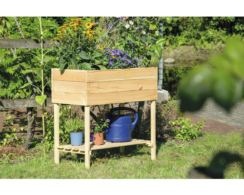 Table de plantation en bois avec plantes et arrosoir dans le jardin
