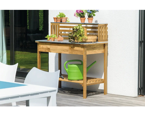 Scène de jardin avec une table de plantation en bois, des plantes et un arrosoir
