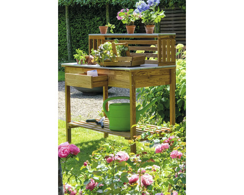 Scène de jardin avec une table de plantation en bois, des fleurs et des outils de jardinage.