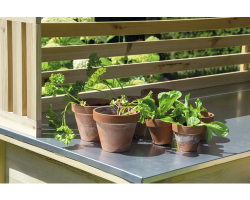 Jardinière surélevée avec herbes aromatiques en pots de terre cuite sur plan de travail en acier inoxydable