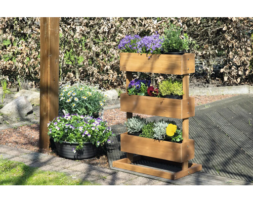 Étagère à plantes en bois avec diverses plantes dans le jardin