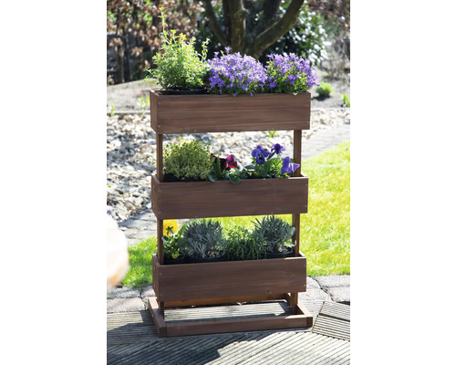 Jardinière surélevée en bois avec trois niveaux et diverses plantes