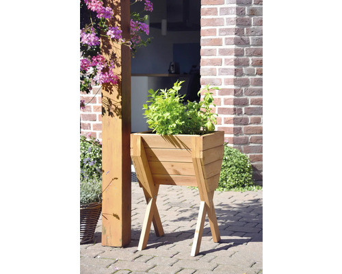 Jardinière en bois avec herbes aromatiques dans le jardin