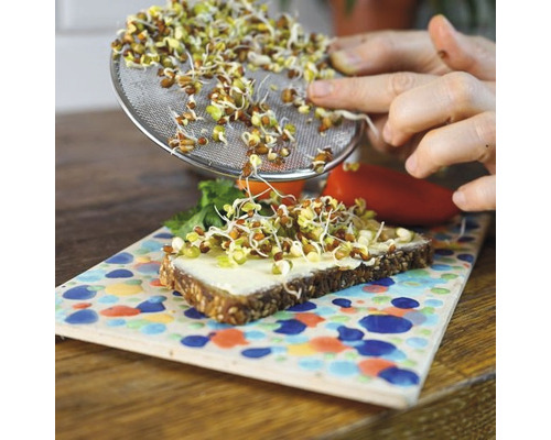 Sur une planche à motifs colorés, une tartine de pain garnie de germes est en préparation.