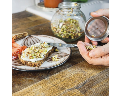 Brot mit Sprossen, Glas mit Sprossen und Sieb auf Tisch